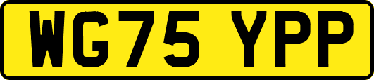 WG75YPP
