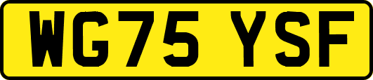 WG75YSF