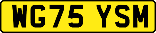 WG75YSM