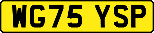WG75YSP