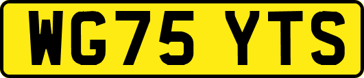 WG75YTS