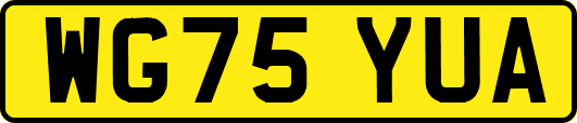 WG75YUA