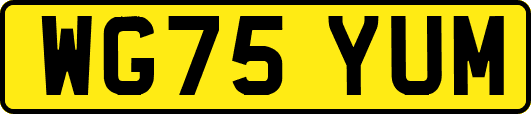 WG75YUM