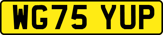 WG75YUP