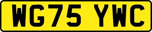 WG75YWC