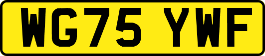 WG75YWF