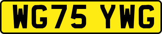 WG75YWG