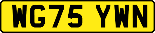 WG75YWN