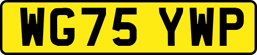 WG75YWP
