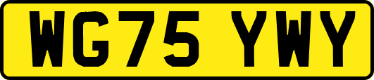 WG75YWY