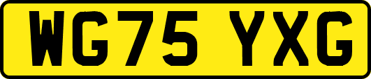 WG75YXG