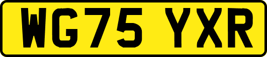 WG75YXR