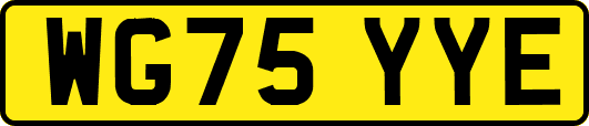 WG75YYE
