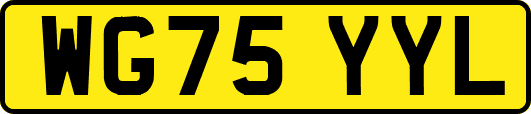 WG75YYL