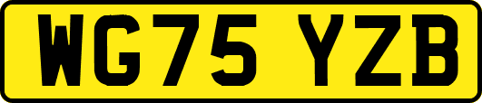 WG75YZB