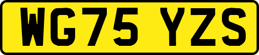 WG75YZS