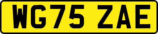 WG75ZAE
