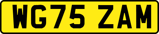 WG75ZAM