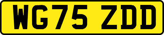 WG75ZDD
