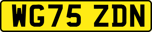 WG75ZDN