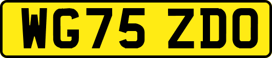 WG75ZDO
