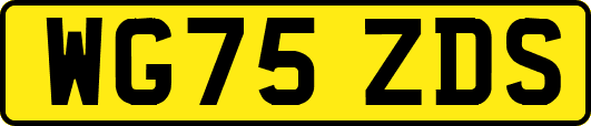 WG75ZDS