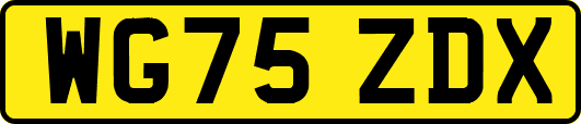 WG75ZDX