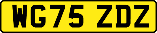 WG75ZDZ