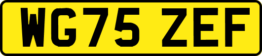 WG75ZEF