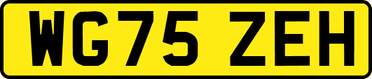 WG75ZEH