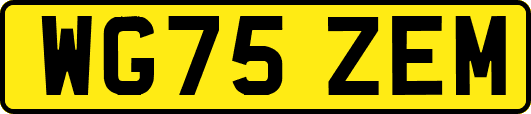 WG75ZEM