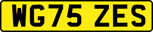 WG75ZES