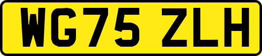 WG75ZLH