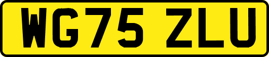 WG75ZLU