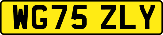 WG75ZLY