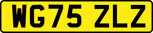 WG75ZLZ