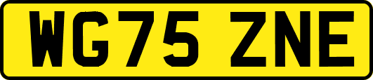WG75ZNE