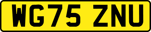 WG75ZNU