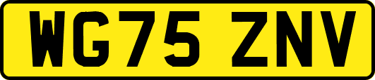 WG75ZNV