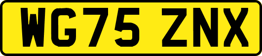 WG75ZNX