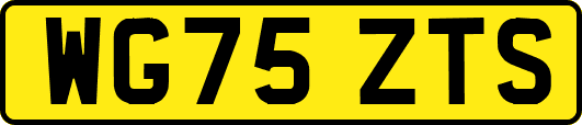 WG75ZTS