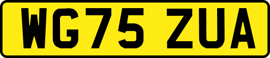 WG75ZUA