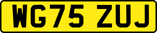 WG75ZUJ