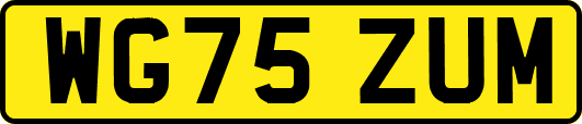 WG75ZUM