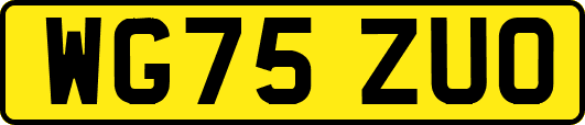 WG75ZUO