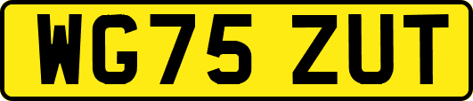 WG75ZUT