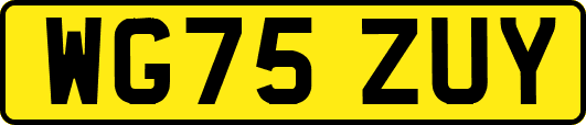 WG75ZUY