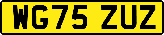 WG75ZUZ