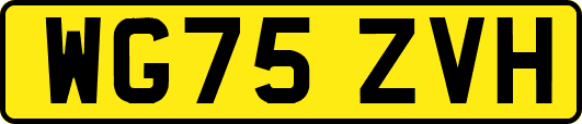 WG75ZVH