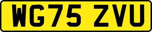 WG75ZVU
